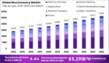 Blue Economy Market Size