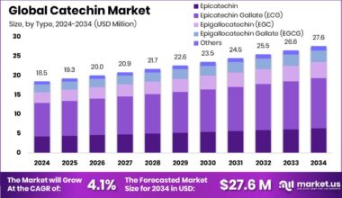 Catechin Market Size