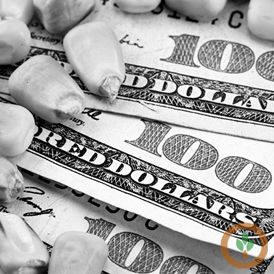 Closing Grain and Livestock Futures: July 25, 2025