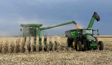 The Corn Market Works to Explain Itself