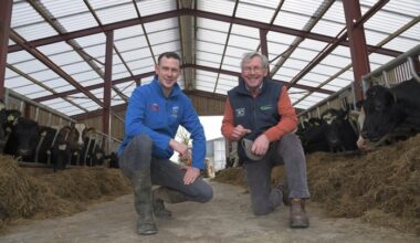 Huge crowds attend DairyBeef 500 farm walk in Cavan