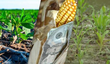 3 Big Things Today, July 18, 2025