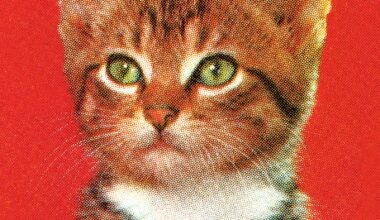 Federal court vacates funding plan for SEC’s massive market monitoring system