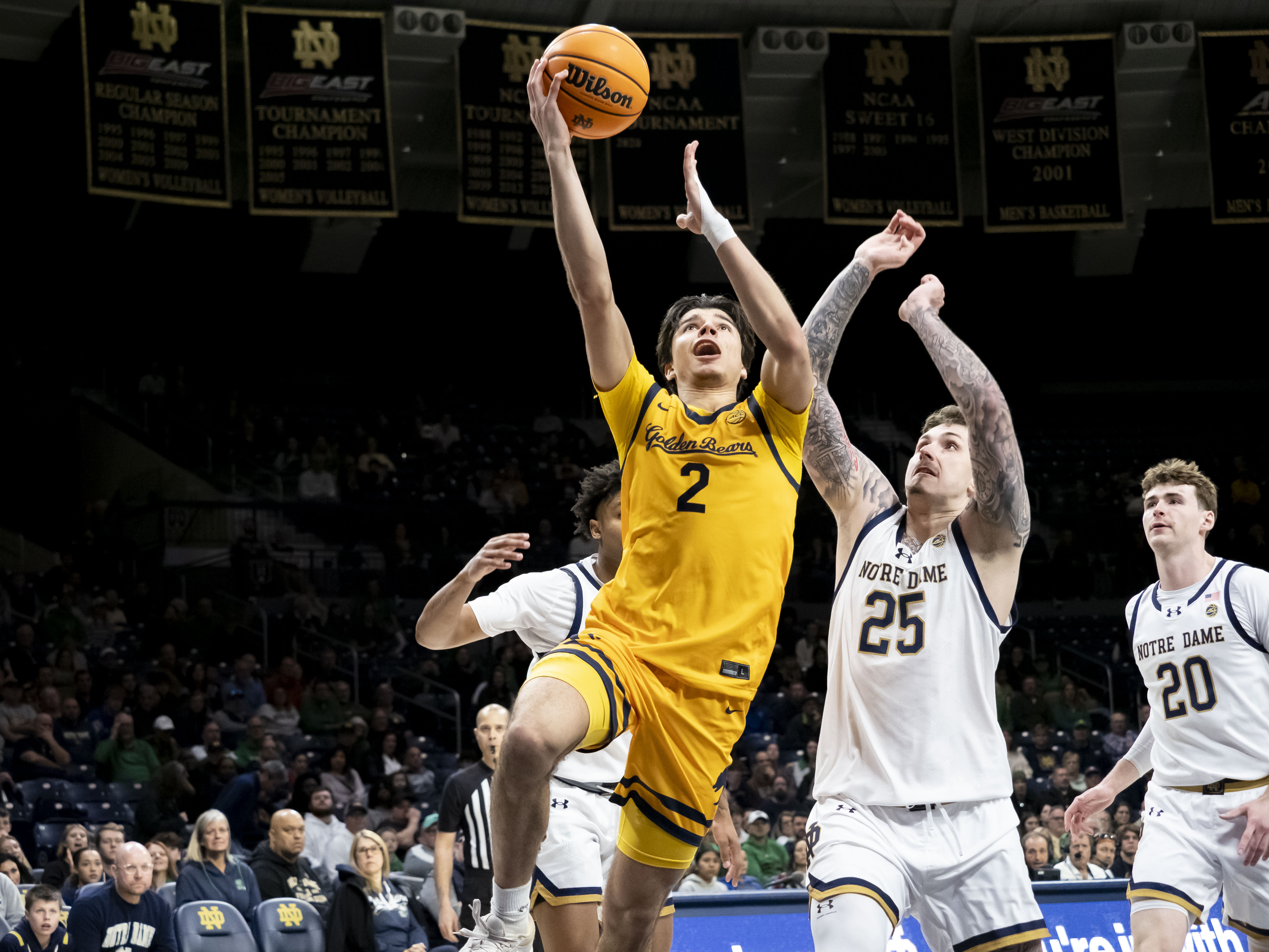 ANDREJ STOJAKOVIC, ILLINOIS