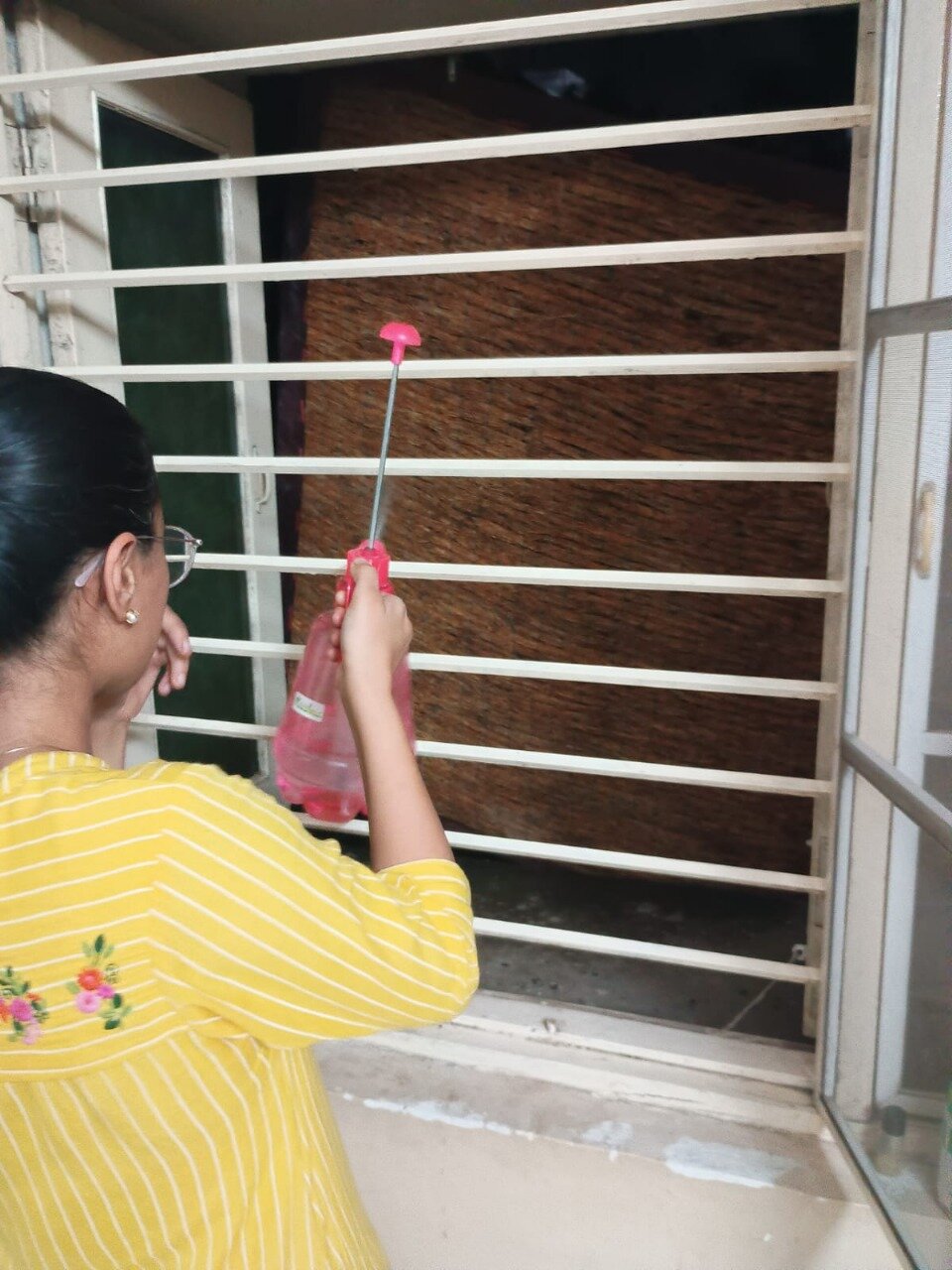 Anjali Choudhary sprays water on a khus curtain outside her bedroom window.