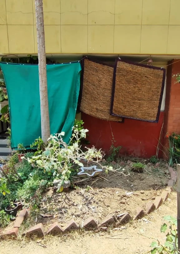 Two khus curtains hang outside Choudhary’s ground-floor drawing room.
