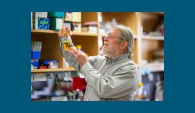 UW-Madison biochemists engineered a poplar tree that produces a high-demand industrial chemical