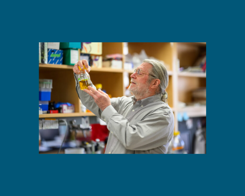 UW-Madison biochemists engineered a poplar tree that produces a high-demand industrial chemical