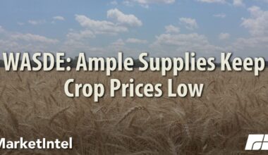 WASDE: Ample Supplies Keep Crop Prices Low | Market Intel