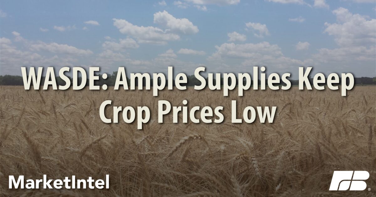 WASDE: Ample Supplies Keep Crop Prices Low | Market Intel