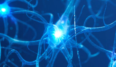 These 4 Distinct Patterns May Signal Alzheimer's According to Science : ScienceAlert