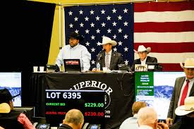 Stronger Higher Market Showcased at Superior’s Week in the Rockies Video Sale