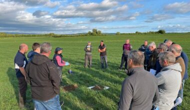 South Laois farmers dig deep into soil health