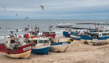Halving in size of Baltic cod a lesson in long-term risks of overfishing