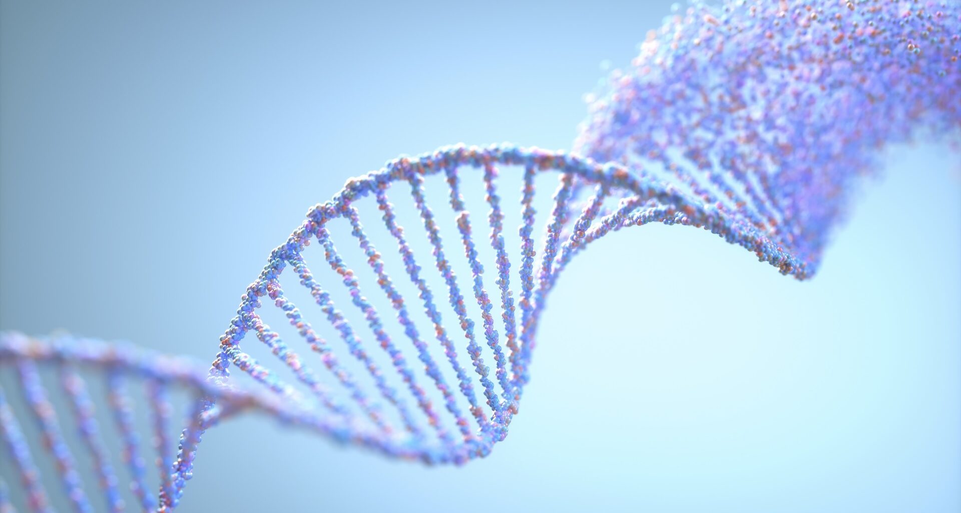 an illustration of a strand of DNA