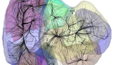 Our Galaxy Appears To Be Part Of A Structure So Large It Challenges Our Models Of Cosmology