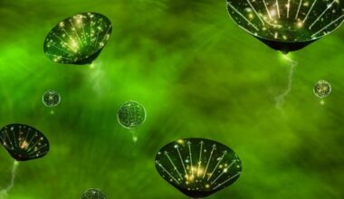 Ask Ethan: Could our whole Universe be a black hole's interior?