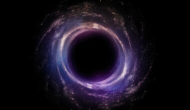 Confirmed by Einstein - if you fall into a black hole, no one will see you disappear... and you will be surprised why