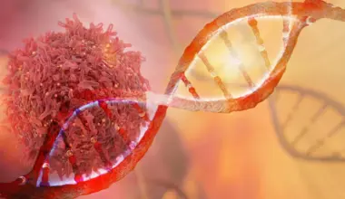 CRISPR uncovers gene that supercharges vitamin D—and stops tumors in their tracks