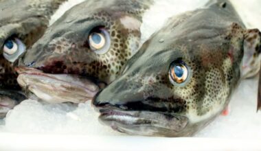 cod