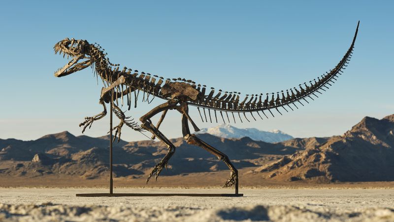 Rare ceratosaur fossil sells for $30.5 million