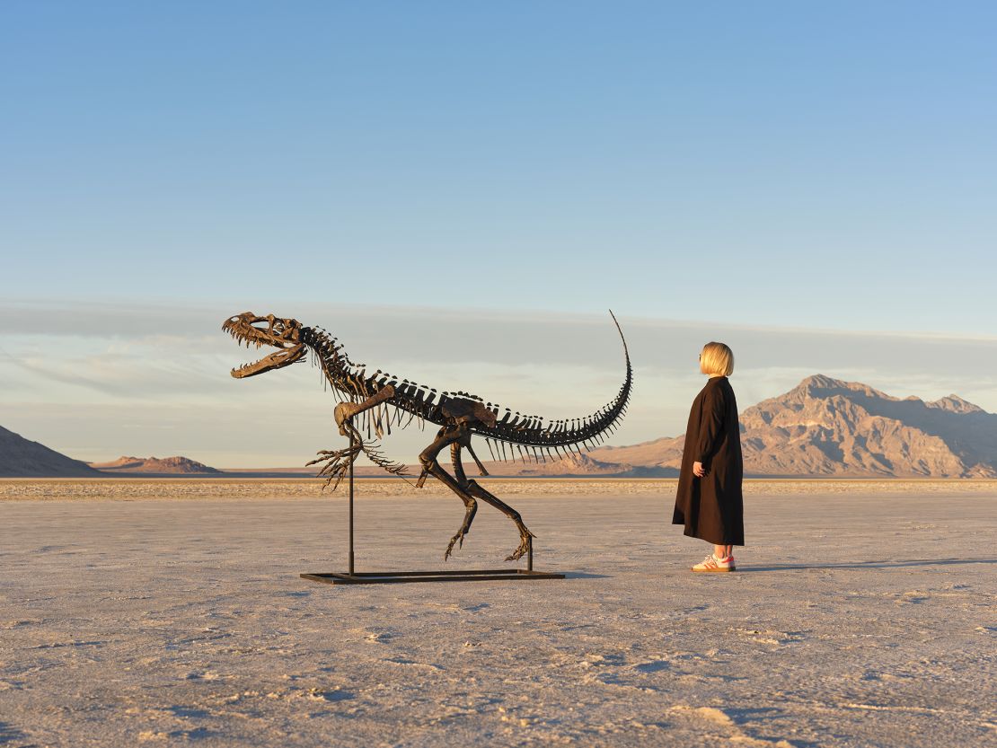 A human is pictured standing next to the fossil.