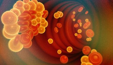 an illustration of cholesterol in the bloodstream