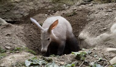 Yahoo lifestyle home