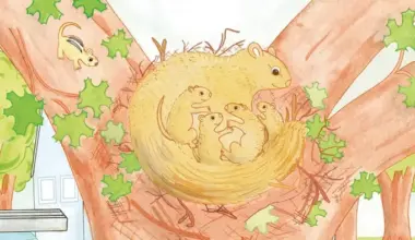 Barnes & Noble in Lake Grove to host launch of new children’s book July 26