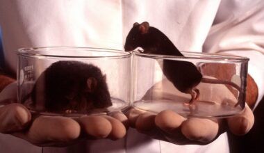 Scientists Gene Hack Mice So Their Livers Produce Their Own Ozempic-Like Drug