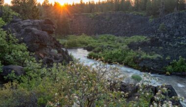 1 dead, 2 missing after being swept down Oregon waterfall
