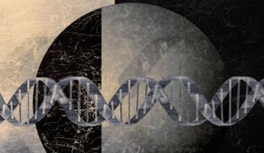 Scientists Found a Ghost Code Hidden in the Human Genome