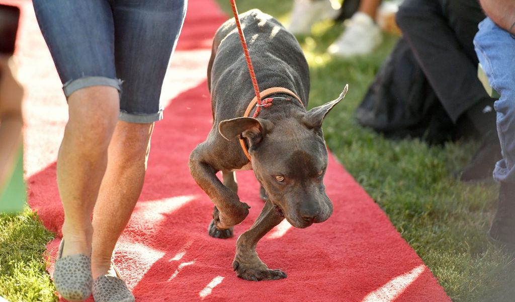 who does Adjoua love more?