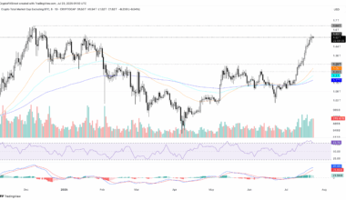 FLR, PENGU, WLD surge with altcoin market’s highest close in eight months