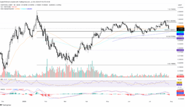 Fartcoin, Jupiter, Pump.fun lead the crypto market pullback as bullish momentum fades 