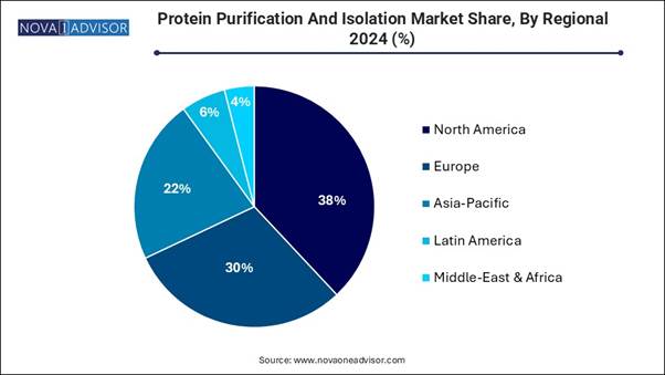 Protein Purification and Isolation Market Share, By Regional 2024 (%)