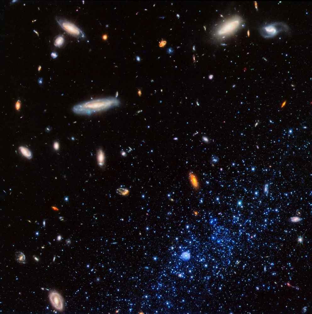 A variety of galaxies are seen in this JWST image. Astronomers are hunting for ancient pristine galaxies that confirm our understanding of the Universe and the Big Bang. Image credit: NASA, ESA, CSA, Kristen McQuinn (STScI