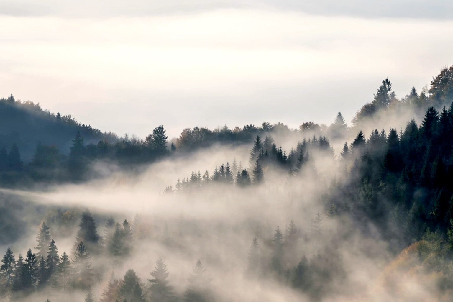 Global Private Markets Report 2025