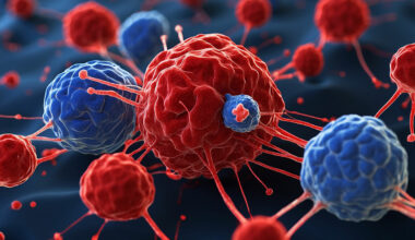 memory B cell subsets 01