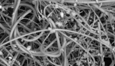 Study Reveals The Shocking Amount of Plastic We Breathe in Every Day : ScienceAlert