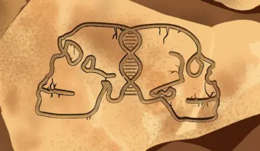 Princeton study maps 200,000 years of Human–Neanderthal interbreeding