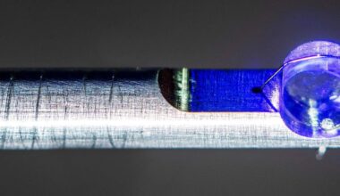 Brighter Side of News