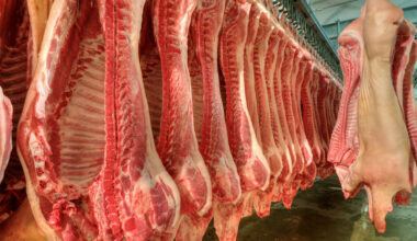 Hog prices climb despite slump in weekly export sales - CME