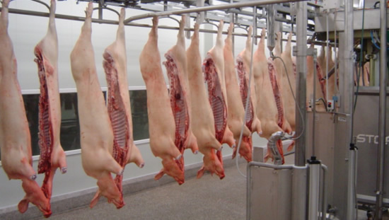 EU Short-term Outlook: stable pigmeat demand, declining exports - Swine news