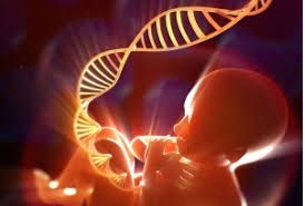 Understanding The Growth Of The Prenatal Genetic Testing Industry By 2035