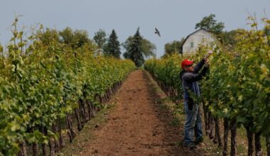 Canada added 83,000 jobs in June, sending unemployment down slightly
