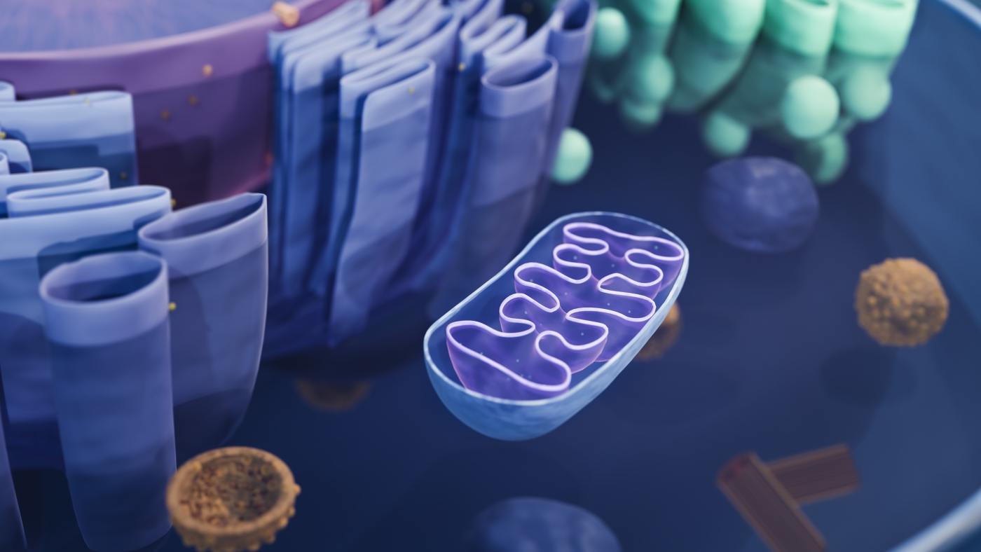 Mitochondrial disease prevented with donated genes : Shots