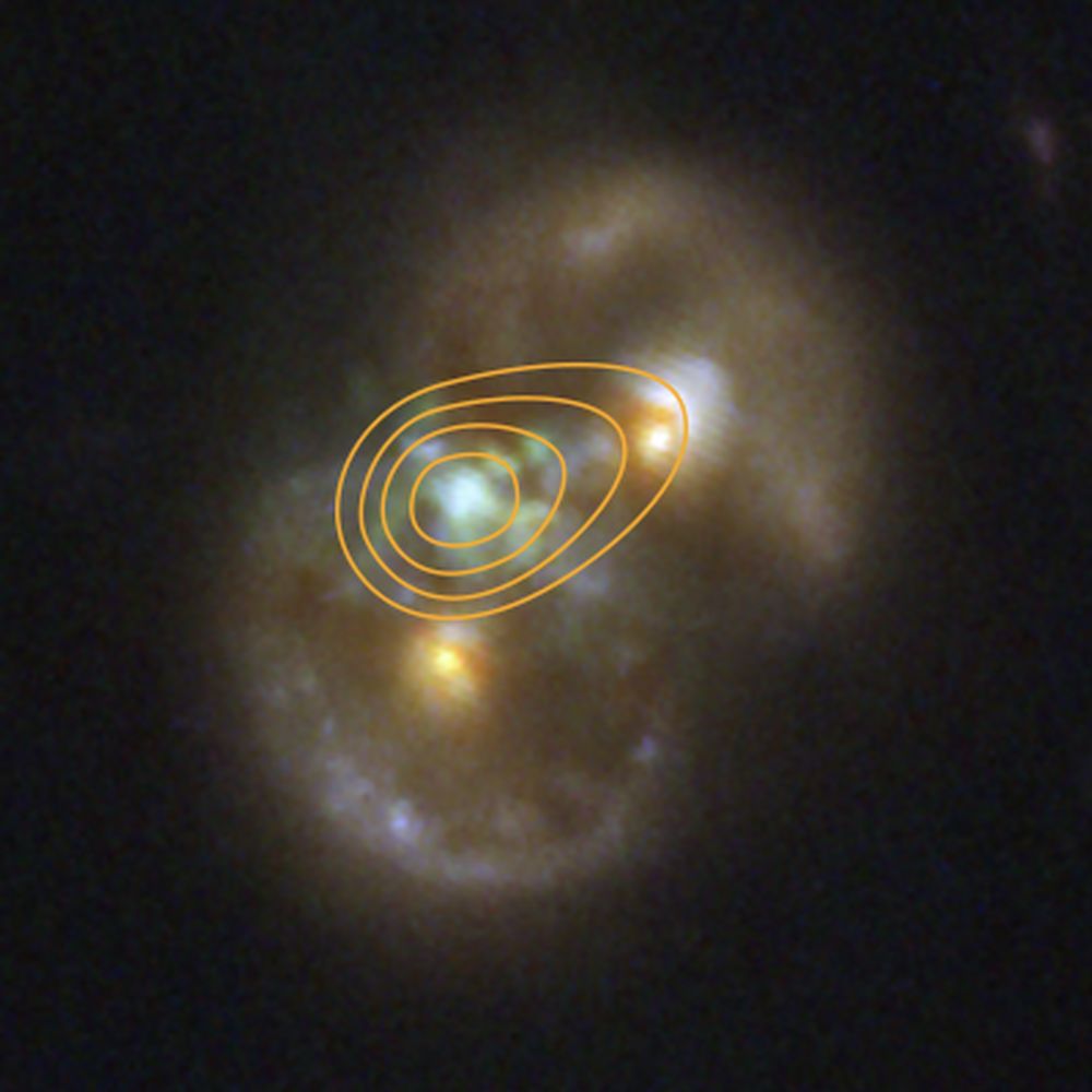 This is an image from the James Webb Space Telescope’s NIRCam overlayed with a contour map of data from the Very Large Array radio telescope. It shows the 'Infinity Galaxy,' named because it looks like the symbol for infinity. It has two very compact nuclei formed by a collision between two galaxies. It also has a supermassive black hole in between them. Could it be a direct-collapse black hole? Image Credit:
