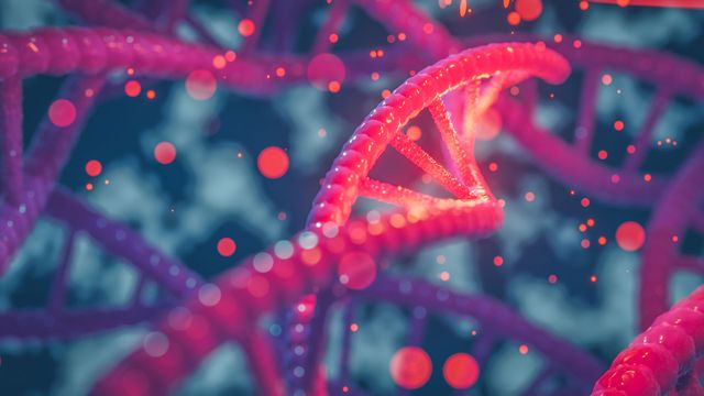 Whole Genome Doubling Drives Ovarian Tumor Growth