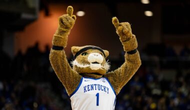 Andrija Jelavic will be the wildcard for Mark Pope's Kentucky Wildcats